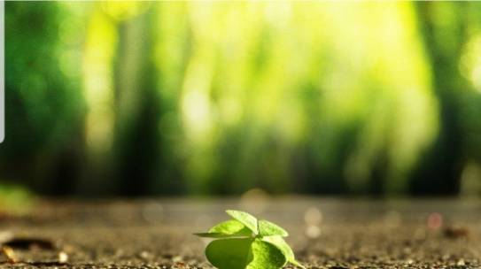 Erfolgsgeschichte: von schwarz in schwarz zum Sonnenschein